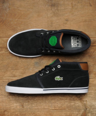 Lacoste Ampthill Tribute