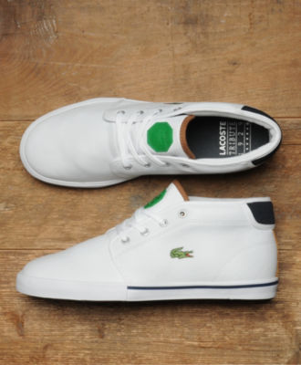 Lacoste Ampthill Tribute