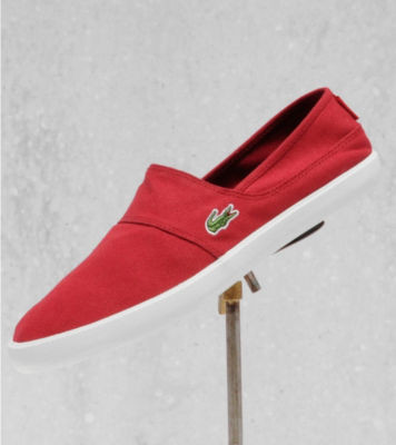 Lacoste Clemente
